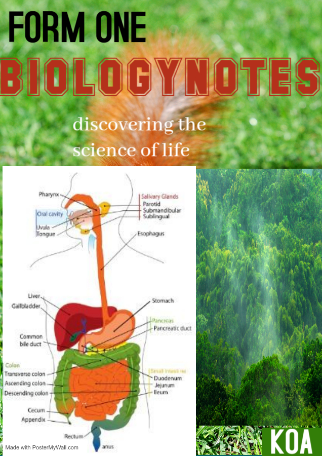 FORM 1 BIOLOGY NOTES